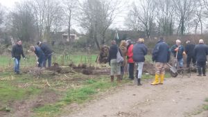 Boomplantdag holthuizen